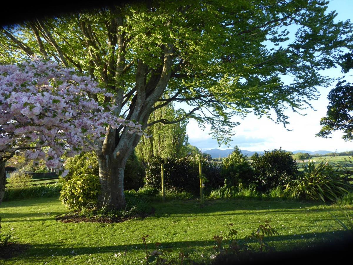 Fig Tree Holiday home Greytown